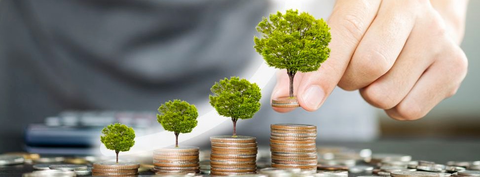 Trees on coin stacks growing up